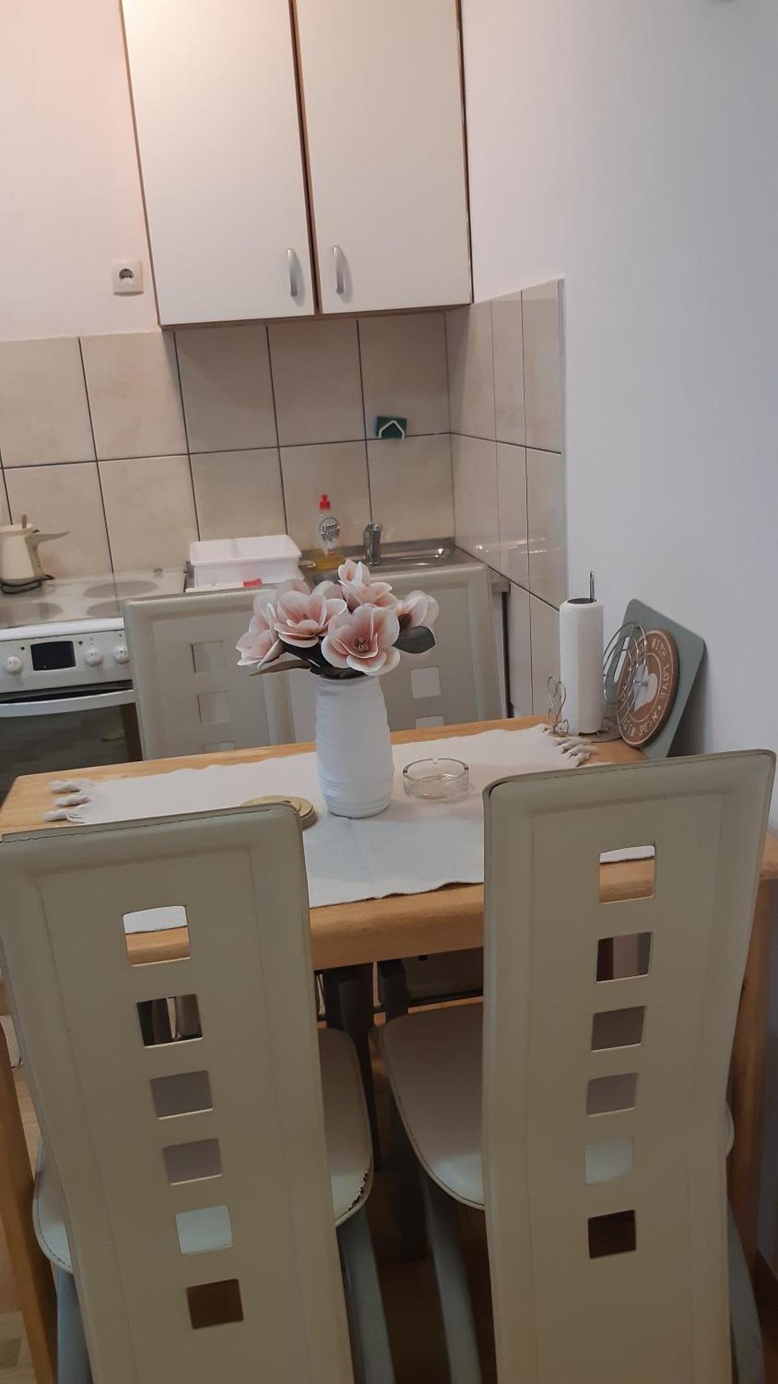 Sirmijum Hause Διαμέρισμα Σρέμσκα Μιτρόβιτσα Εξωτερικό φωτογραφία